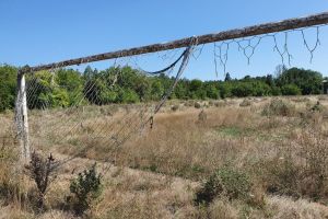 Constanteanul suparat:  Terenurile de sport sunt oglinda starii de spirit a locuitorilor. Vegetatia face ca tribunele sa para una cu terenul!“