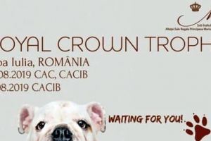 LIVE VIDEO: Peste 700 de campioni lătrăcioşi cuceresc Cetatea Alba Carolina, în cadrul Royal Crown Trophy