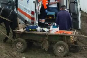 Bărbat mort după ce o căruţă cu lemne s-a răsturnat peste el