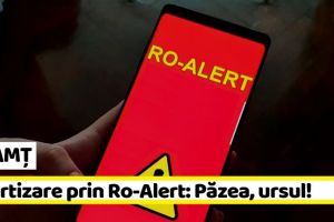 NEAMȚ: Avertizare prin Ro-Alert despre prezenţa unui urs în localitatea Farcaşa
