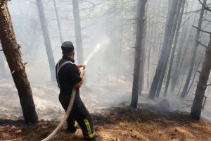 Incendiu de proporţii la Teiu