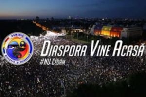 Satu Mare. Nicio persoană prezentă la protestul „Diaspora vine acasă”