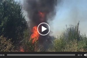 Incendiu VIOLENT la ieşirea din Arad. Lupta cu flăcările (FOTO + VIDEO)
