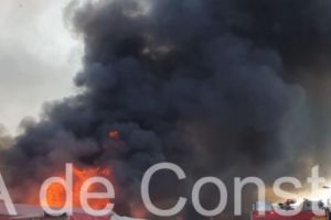 Grecia, mistuita de zeci de incendii de vegetatie
