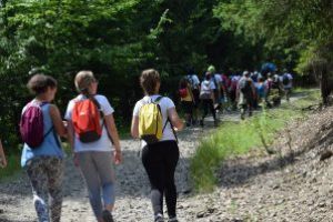 De la mic la mare, elevii din Covasna fac „Voluntariat pentru natura covăsneană”