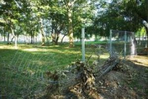 Vandalism in Constanta. Țarcurile pentru caini din Parcul Tabacarie au fost distruse (galerie foto)