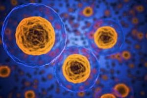 Experiment revolutionar: Celule canceroase, transformate in grasime. Nici nu s-au mai inmultit