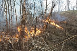 Prefectura Sibiu, scrisoare importantă către toate primăriile din judeţ
