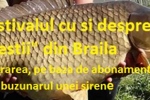 Festivalul pestelui la Braila! Era si timpul ca inotatoarele ce se hranesc cu naivitatea “sirenelor” sa aiba sarbatoarea lor, la ei acasa