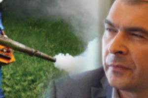 Începe dezinsecţia! Cu sau fără voia primarului Borcean!