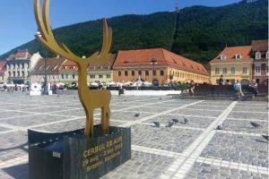 SDEE Transilvania Sud, partener la Cerbul de Aur 2019