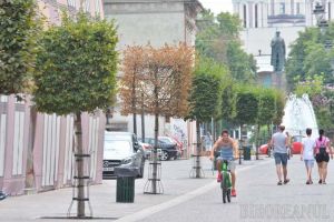 Ne enervează: Copacii 