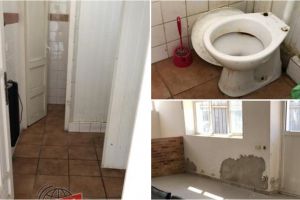FOTO. Turişti străini şocaţi de ce au văzut în Satu Mare: ,,Parcă eram în filmele lui Hitchcock”