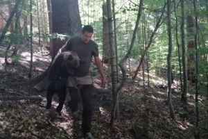 A doua familie de urşi de la Lacul Sfânta Ana, mutată la Sanctuarul „Libearty”