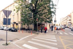La presiunea locatarilor, Primăria nu mai taie un copac din centrul oraşului