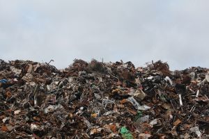 Oraş din Transilvania invadat de câini şi şobolani pentru că gunoiul nu a fost strâns de 4 luni