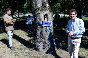 Primăria a achiziţionat un TOMOGRAF PENTRU COPACI în valoare de 28.000 de euro