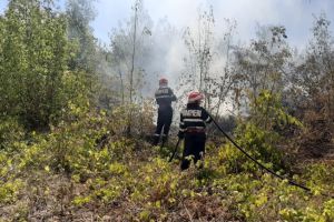Trei incendii de vegetatie in 45 de minute in municipiile Constanta si Tulcea