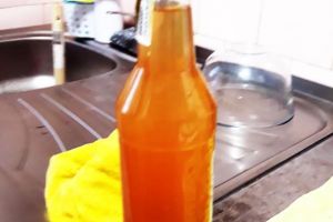 Apa 