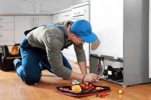 Cum poate ajuta mediul online un specialist în reparaţii electrocasnice şi electronice
