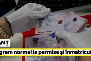 NEAMȚ: Pe 16 august, la permise şi înmatriculări se lucrează