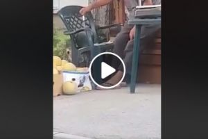 POFTIM?!? Vânzător filmat în timp ce injecta pepenii cu apă, să atârne la 