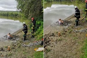 FOTO. Un bărbat blocat în nămol la Coşlariu, în timp ce se afla la pescuit. Au intervenit pompierii din Alba Iulia pentru extragere
