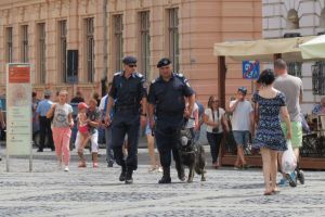 Imigrant ilegal prins de jandarmi la Sibiu