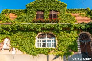 #CasaFrumoasă: Clădirea din Oradea care a devenit atracţie pentru selfie-uri (FOTO)