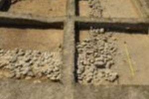 Situl arheologic Tibiscum ar putea deveni unul dintre cele mai importante parcuri arheologice din Europa