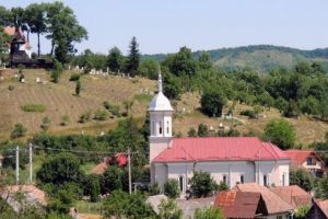 Primăria comunei Ceuaşu de Câmpie angajează şofer