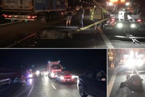 FOTO, VIDEO. Un urs a fost lovit pe autostrada A1, Sibiu – Sebeş, de patru maşini consecutiv. Doi copii au suferit atacuri de panică şi au avut nevoie de îngrijiri medicale