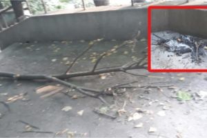 Au încins grătarul lângă cămin