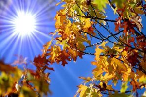 Prognoza meteo pe o lună: Când vine toamna şi ce vreme ne aduce începutul lunii septembrie