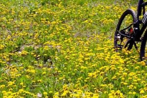 Ciclism offroad, la Pădurea Verde, într-un peisaj de poveste
