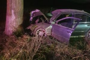  Viteza din curba l-a facut sa intre intr-un copac. Doua persoane ranite