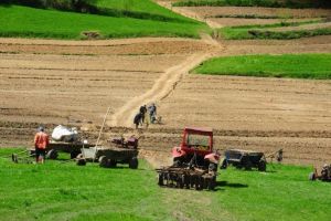Terenurile agricole din Satu Mare, printre cele mai scumpe. Până la 7.000 de euro pe hectar