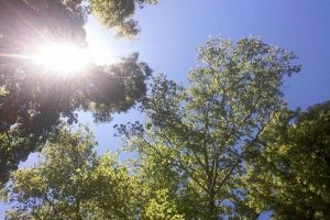 Târgovişte: Săptămâna începe cu vreme frumoasă şi temperaturi ridicate