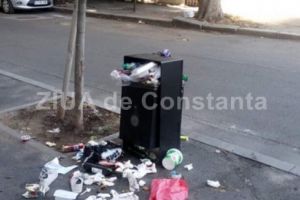 Culmea ironiei:  O constanteanca cere Primariei sa isi ia cosurile de gunoi inapoi! Cum isi motiveaza sesizarea  