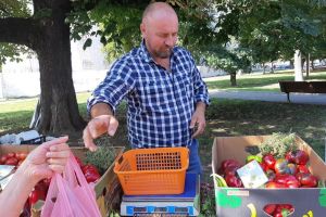 Cele mai bune roşii pentru bulion şi perioada optimă pentru prepararea lui. Reţeta lui Ioan Simionca
