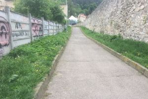 „Dă un leu pentru Braşovul meu !” Lucrările de artă stradală schimbă faţa Braşovului