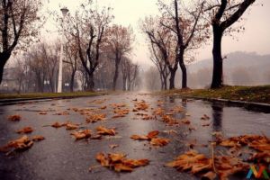 Vremea pe o lună – Când vine toamna