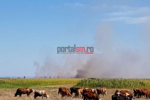 FOTO. Incendiu de amploare în apropierea sondei petroliere de la Moftin!