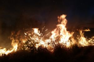 Incendiu de proportii in Tulcea. A ars aproximativ un hectar de vegetatie uscata