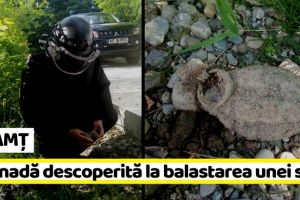 NEAMȚ: Grenadă descoperită la balastarea unei străzi (FOTO)