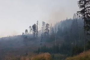 Pompierii militari maramureseni au intervenit in ultimele 24 de ore la sase situatii de urgenta