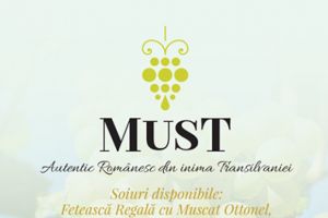 O recoltă excepţională în podgoria Jidvei, premisa unui must de calitate
