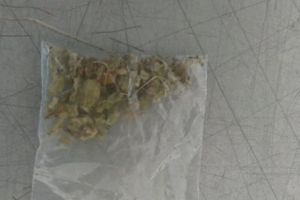 Cu droguri şi alcool în Parcul Botanic. Cinci tineri prinşi cu marijuana