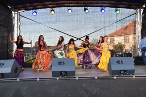 FOTO. Chirbai ţigănesc în judeţul Satu Mare. Cea mai reuşită sărbătoare din ultimii 40 de ani