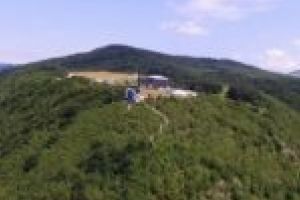Defrişări ilegale în Dealul Golului? Se vrea demiterea şefului de la Ocolul Silvic Banatul Montan!